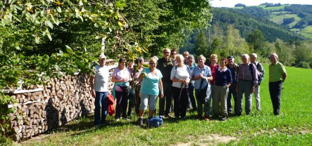 ÖTK Neunkirchen - Senioren Wanderung von Bromberg nach Innerschildgraben