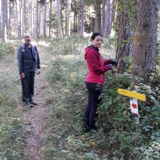 Markierungsteam – Greith nach Willendorf