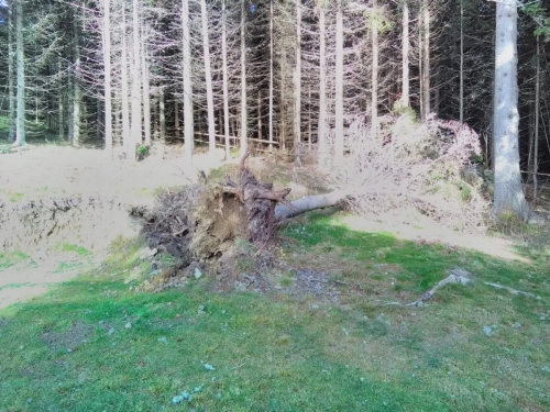 OeTK-Neunkirchen-Alpkogelhuette Fruehjahrsreinigung-2019 20190518-010