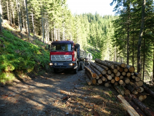 OeTK-Neunkirchen-Alpkogelhütte Baggerarbeiten 20190621-001