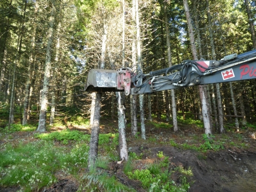 OeTK-Neunkirchen-Alpkogelhütte Baggerarbeiten 20190621-011