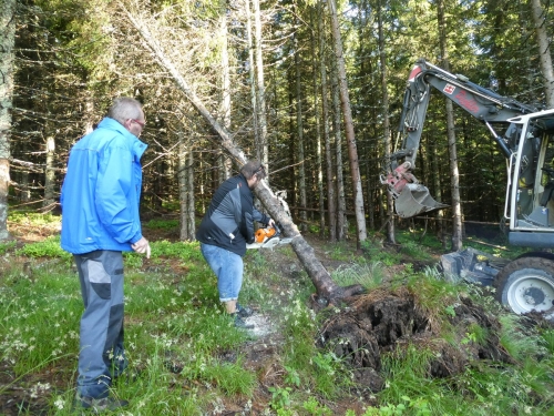 OeTK-Neunkirchen-Alpkogelhütte Baggerarbeiten 20190621-014