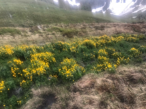 OeTK-Neunkirchen-Einladung-zur-Neunkirchner-Huette-OeGV 20190615-003