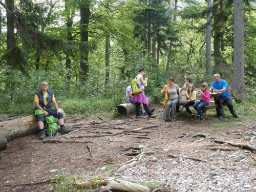 OeTK-Neunkirchen-Jugend-Wasserleitungsweg-20190914-083