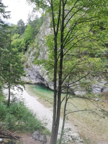 OeTK-Neunkirchen-Jugend-Wasserleitungsweg-20190914-087