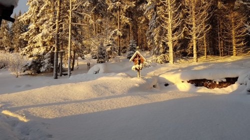 OeTK-Neunkirchen-Alpkogelhuette-Weihnachtsfeier2018-008