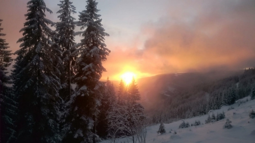 OeTK-Neunkirchen-Alpkogelhuette-Weihnachtsfeier2018-010